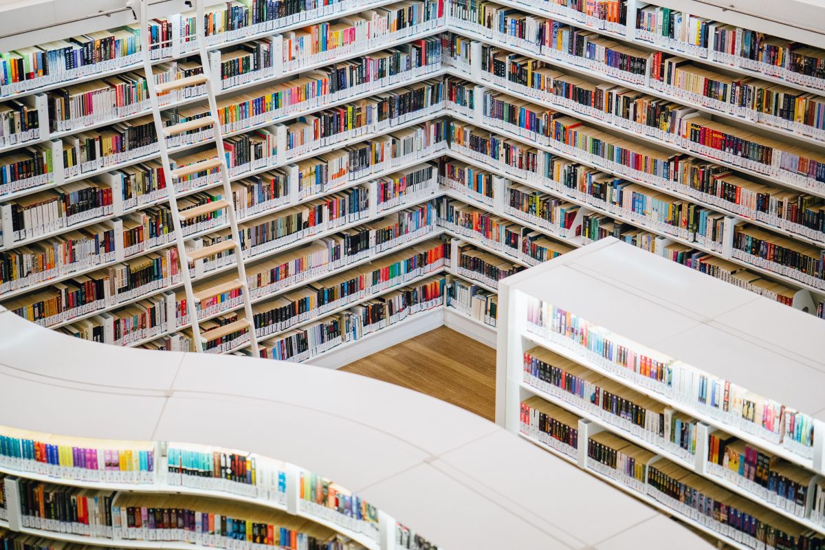 Six lectures pour un été inclusif