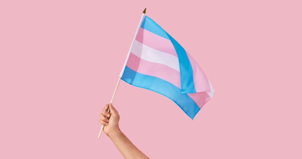 LGBTphobies : des disparités qui touchent principalement les personnes transgenres